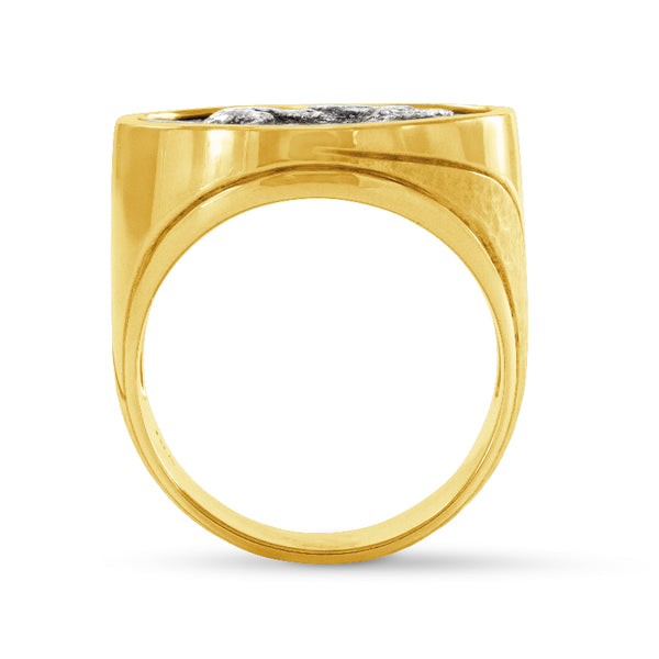 Men's Ancient, Authentic Pegasus Coin Ring