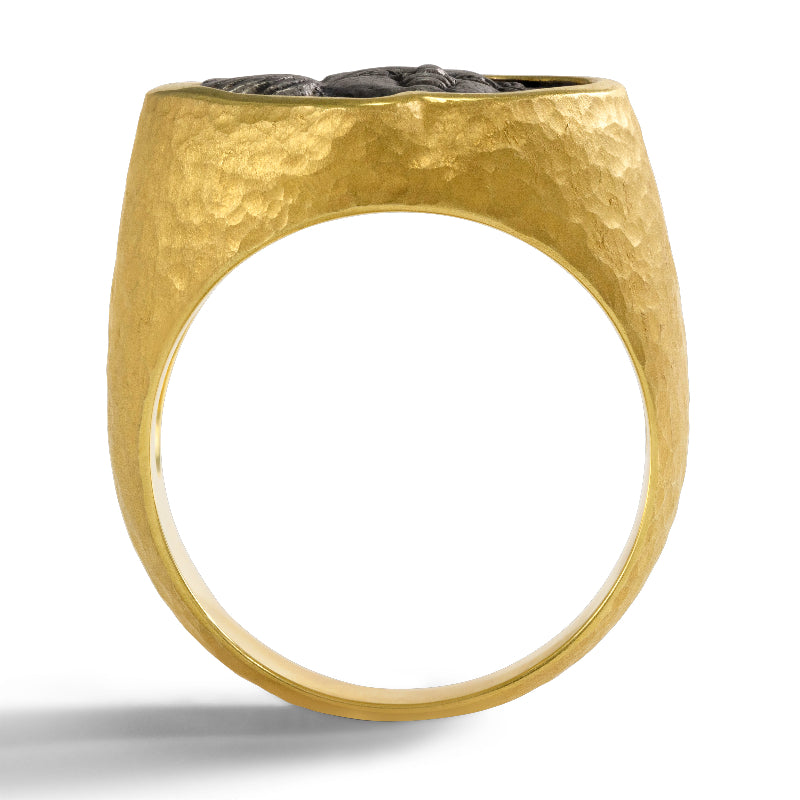Men's Ancient, Authentic Gemini Coin Ring