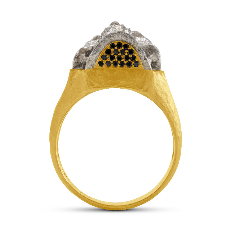 Men's Meteorite Skull Ring